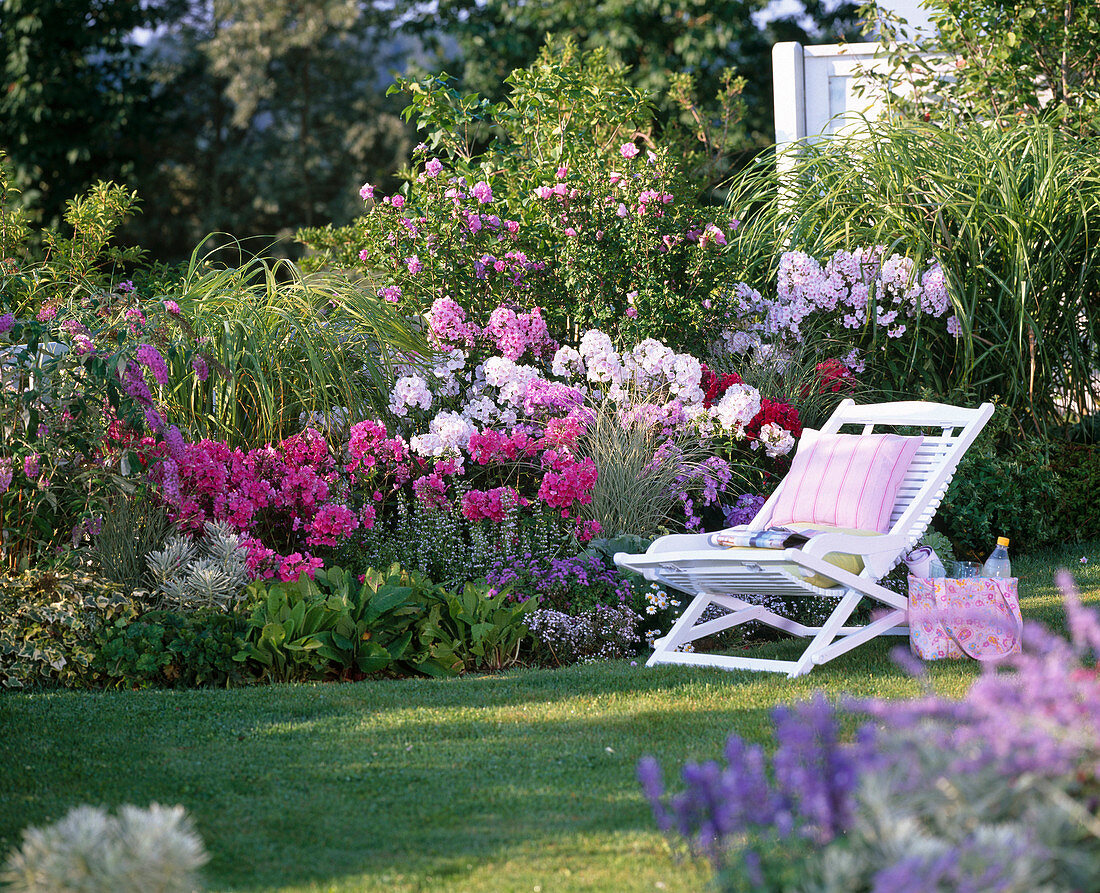 Fragrant bed with phlox, Buddleja