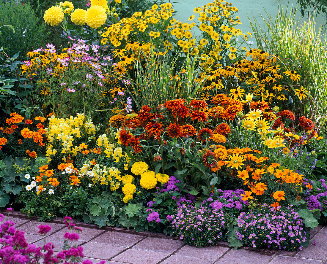 Yellow-orange late summer border