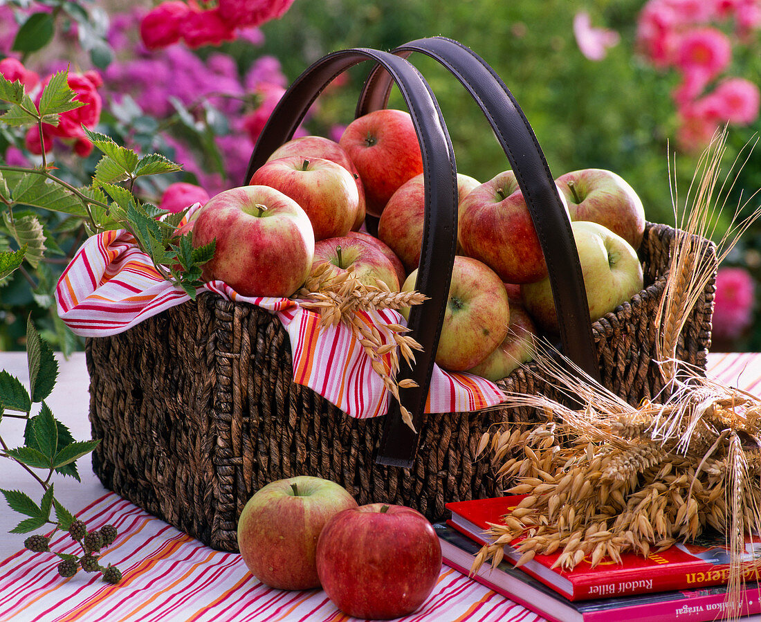 Malus (apples) in basket with towel, Avena (oats) and Hordeum (barley)
