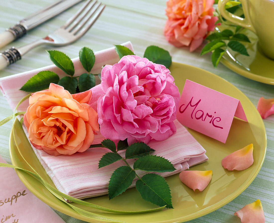 Pink (roses) on napkin