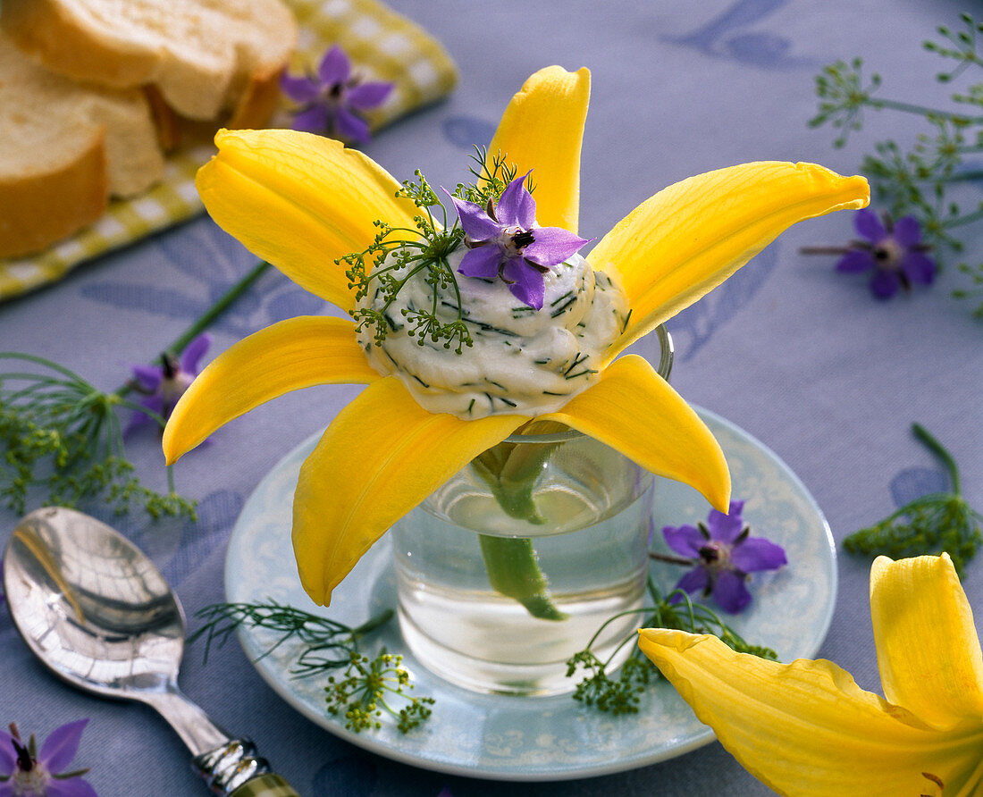 Hemerocallis blossom with herb quark, decorated with Borago