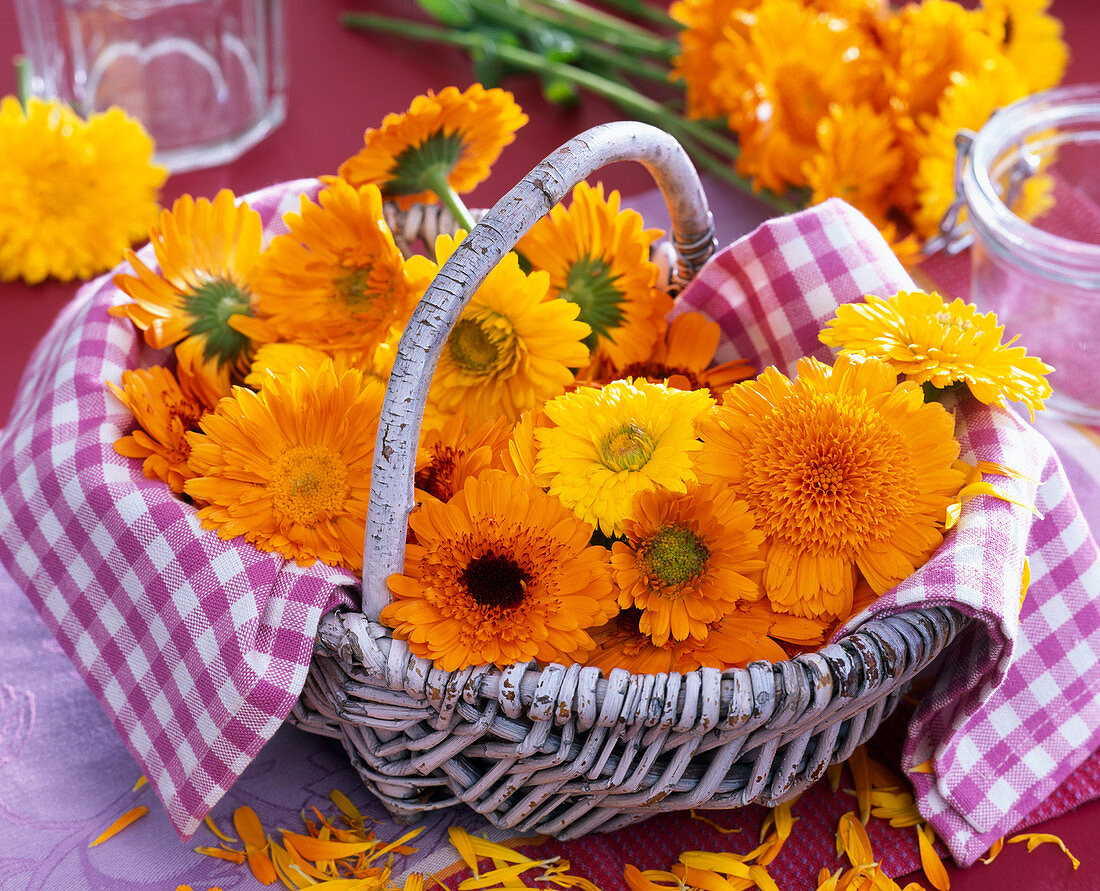 Calendula (Marigold) in basket with checkered cloth