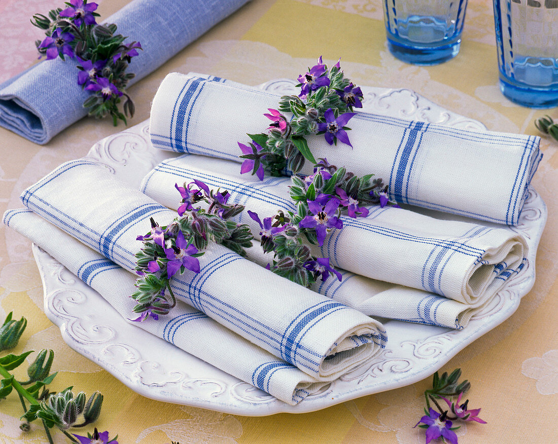 Borago (borage) on a blue and white napkin