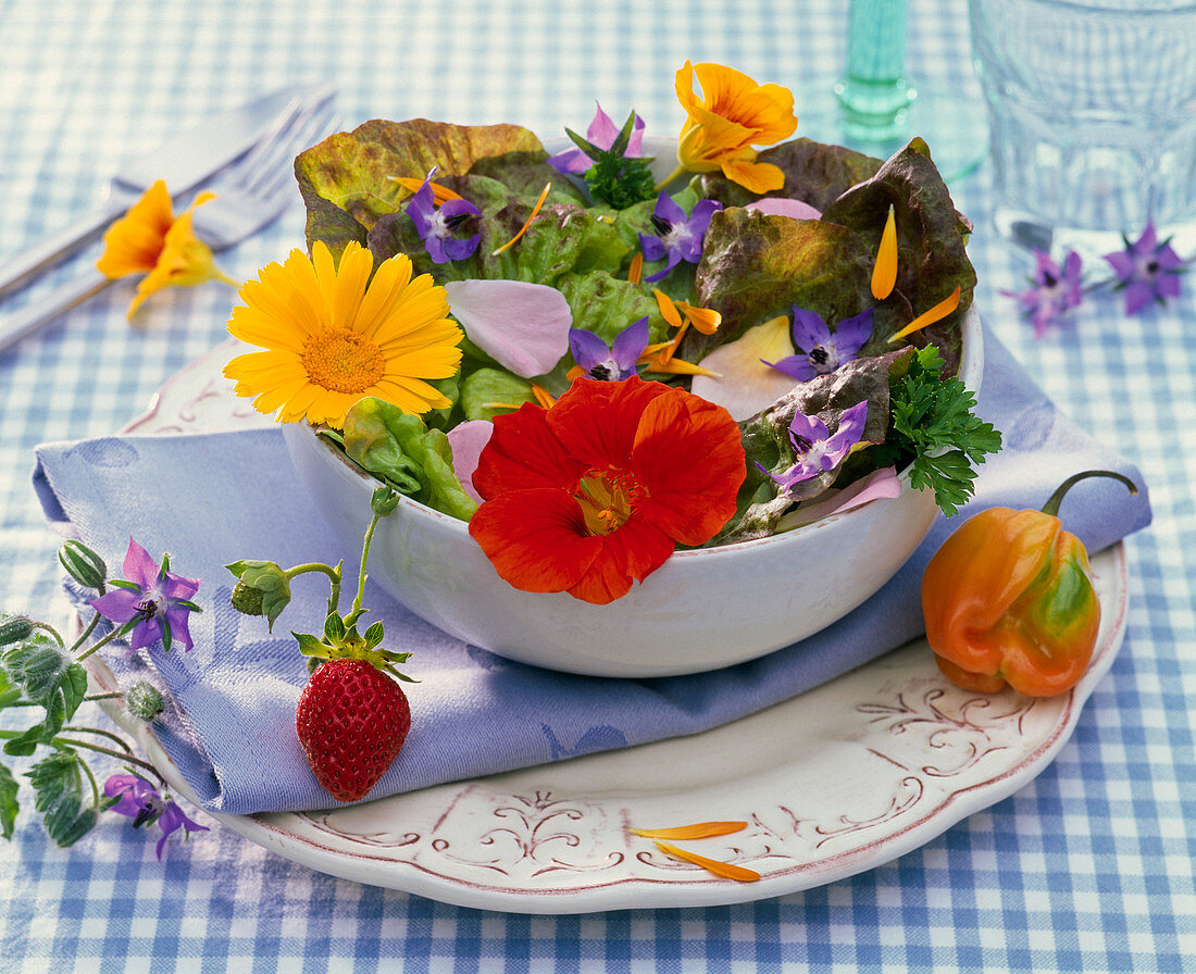Salat mit eßbaren Blüten : Lactuca (Salat), Calendula (Ringelblume)