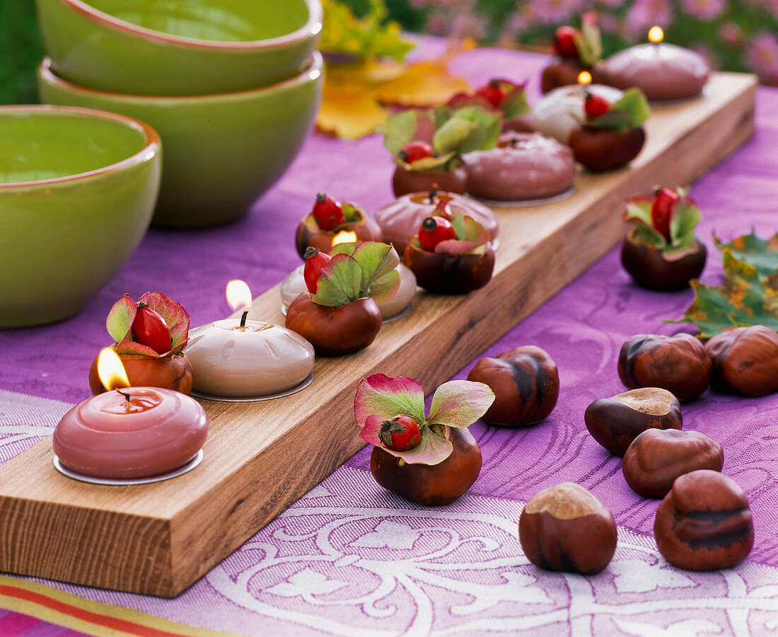 Hollowed chestnuts as a mini vase