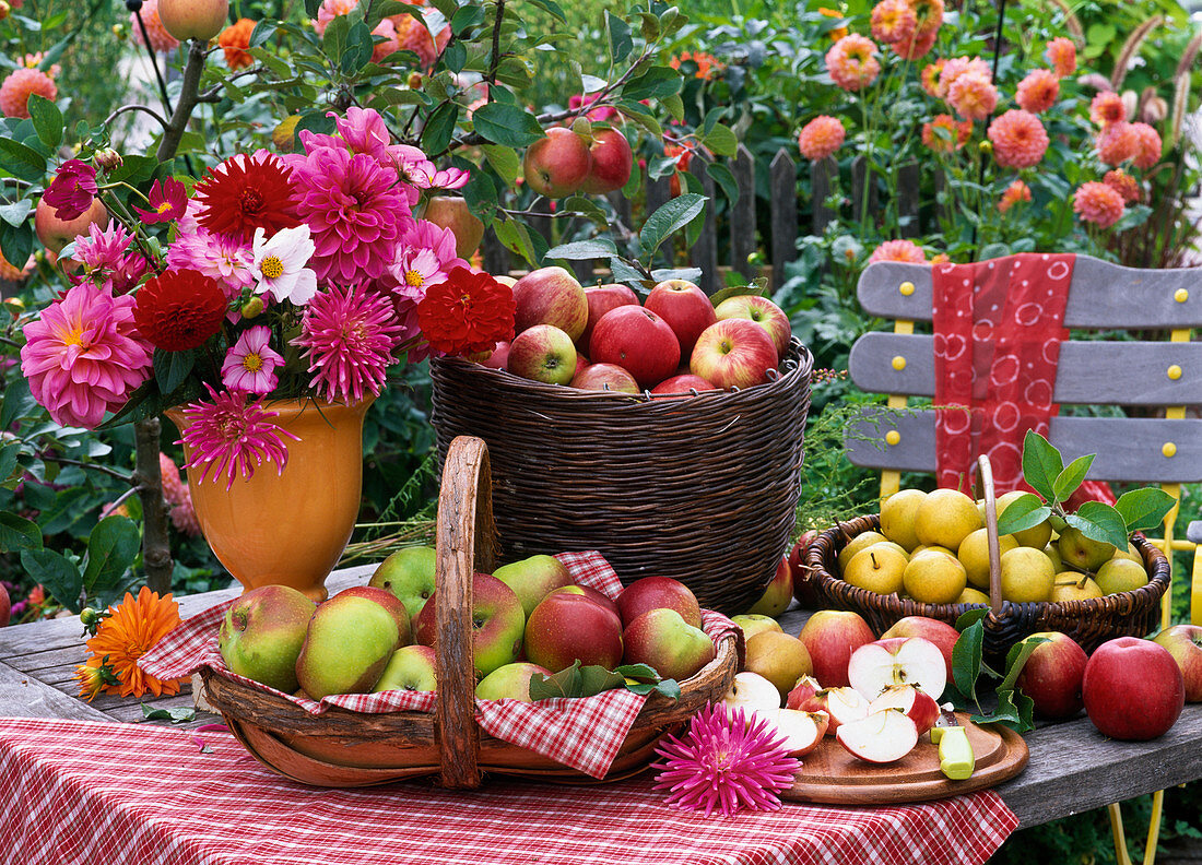 Cut and whole Malus in baskets and cutting board, Pyrus