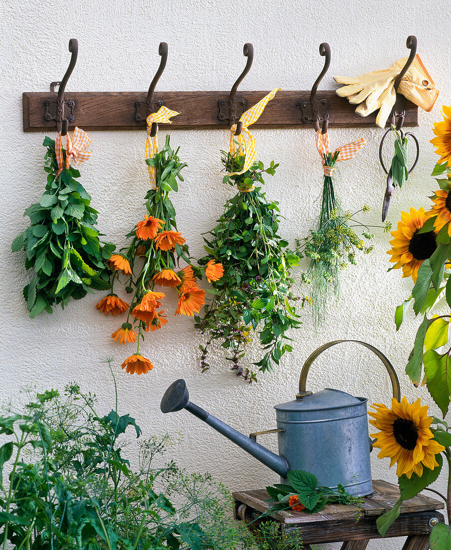 Herbs hung to dry: Melissa, Calendula