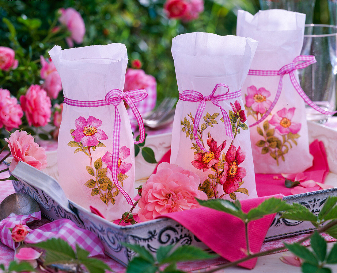 Paper sandwich bags with napkin technique as lanterns