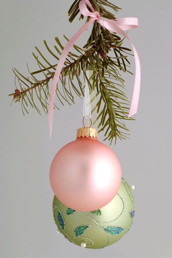 Pink and green Christmas tree balls on a branch of Pseudotsuga (Douglas fir)