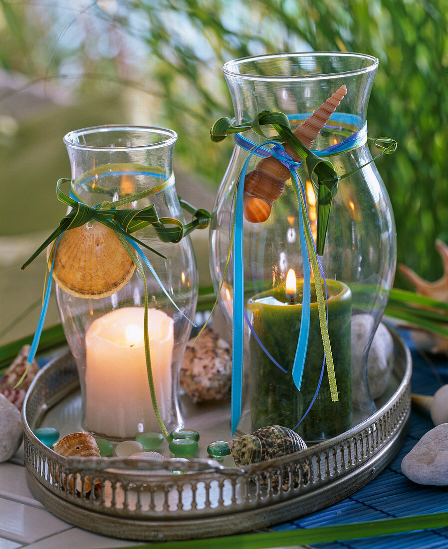 Lanterns with shells and spartina (golden ridge grass) on tray, glass lens