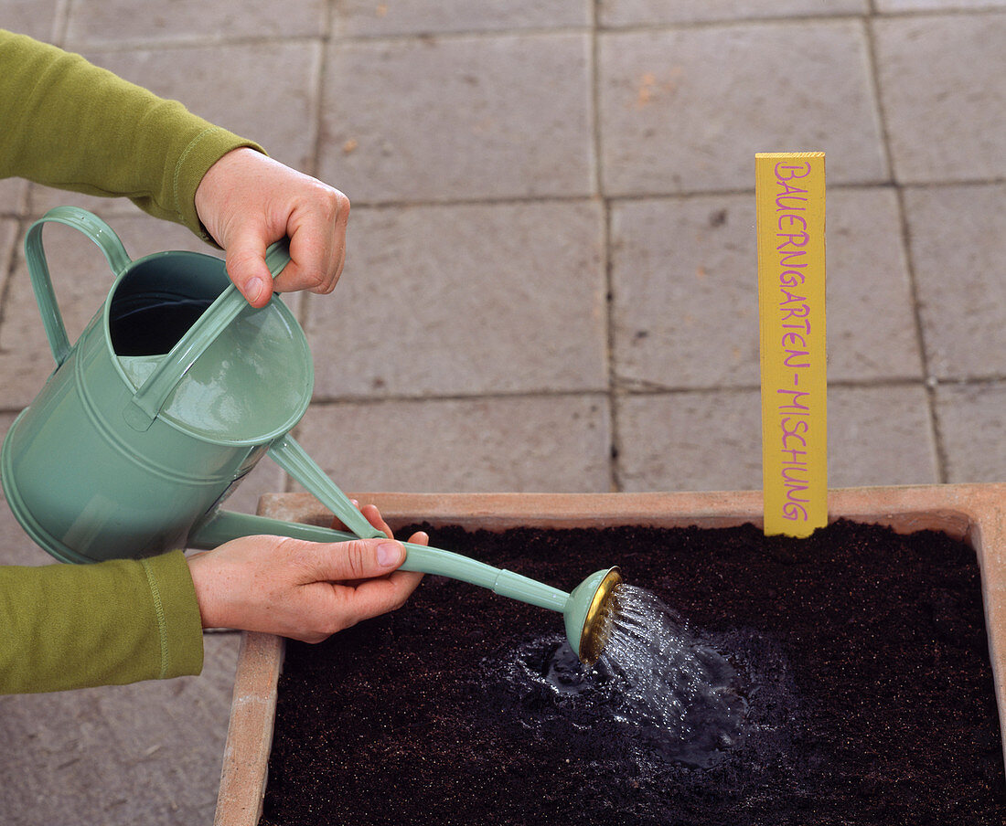 Seed tape with farmer garden mixture