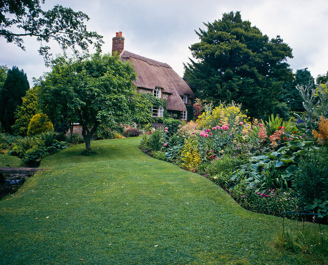 Thatched cottage with Malus (apple tree) as a house tree