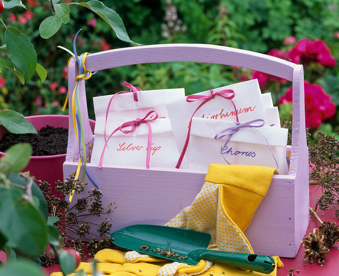 Seed bags with seeds of Antirrhinum (snapdragon), Lavatera 'Silver Cup'.