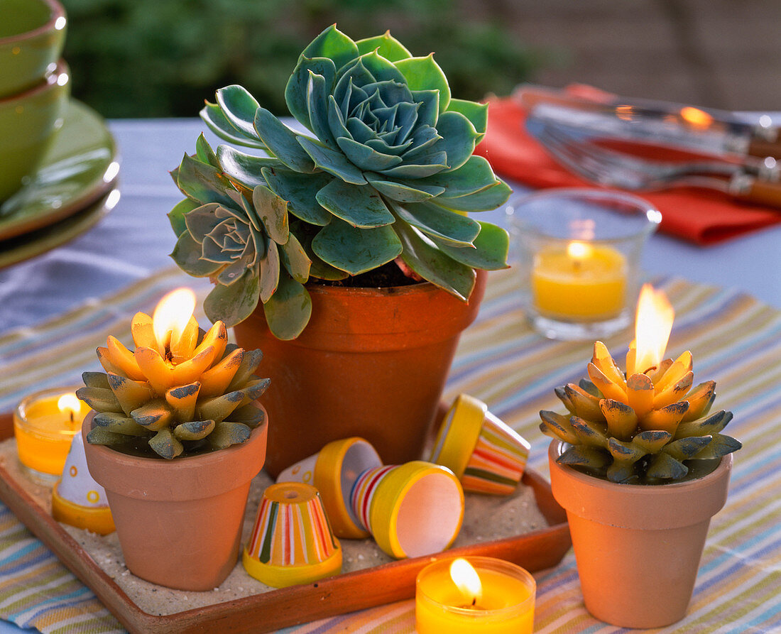 Echeveria in clay pot, colorful mini clay pots, candles