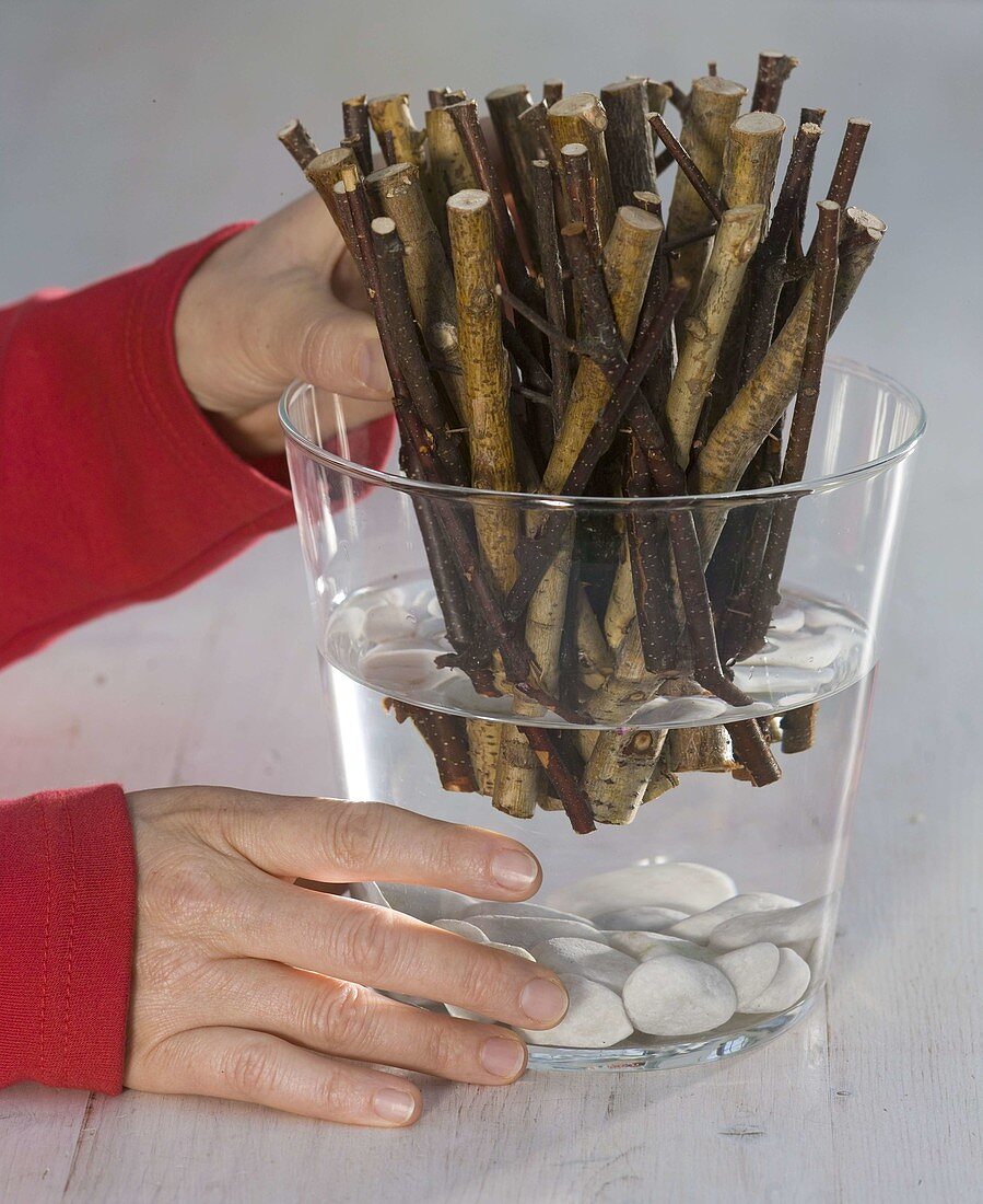 Twig pegs for autumn chrysanthemums (1/3)