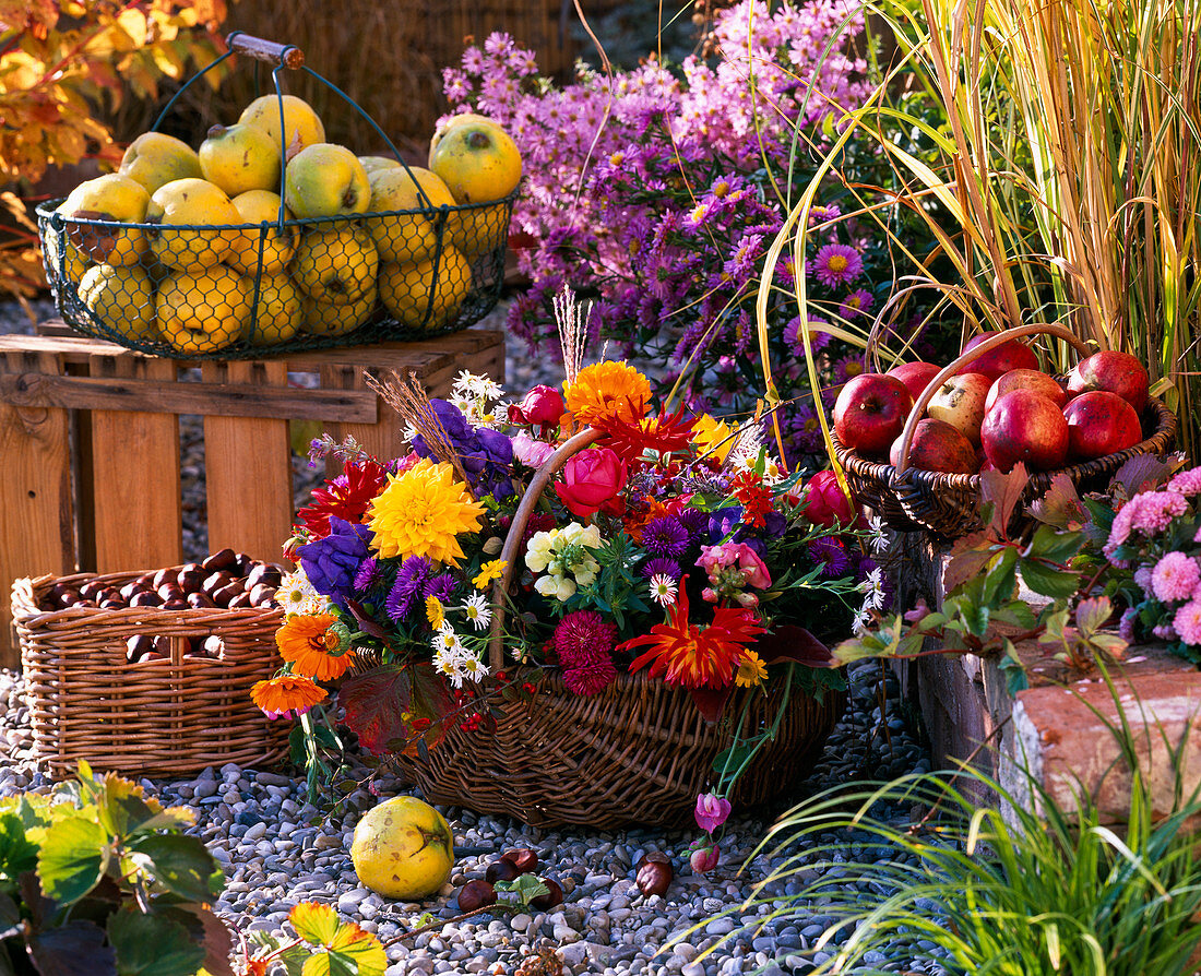 Treasures from the cottage garden