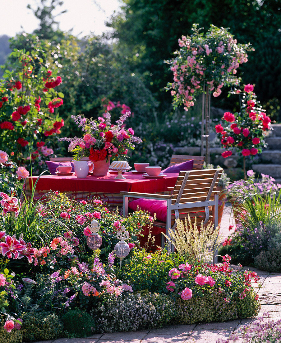 Sitzgruppe hinter Beet mit Rosa (Rosen), Thymus (Thymian)