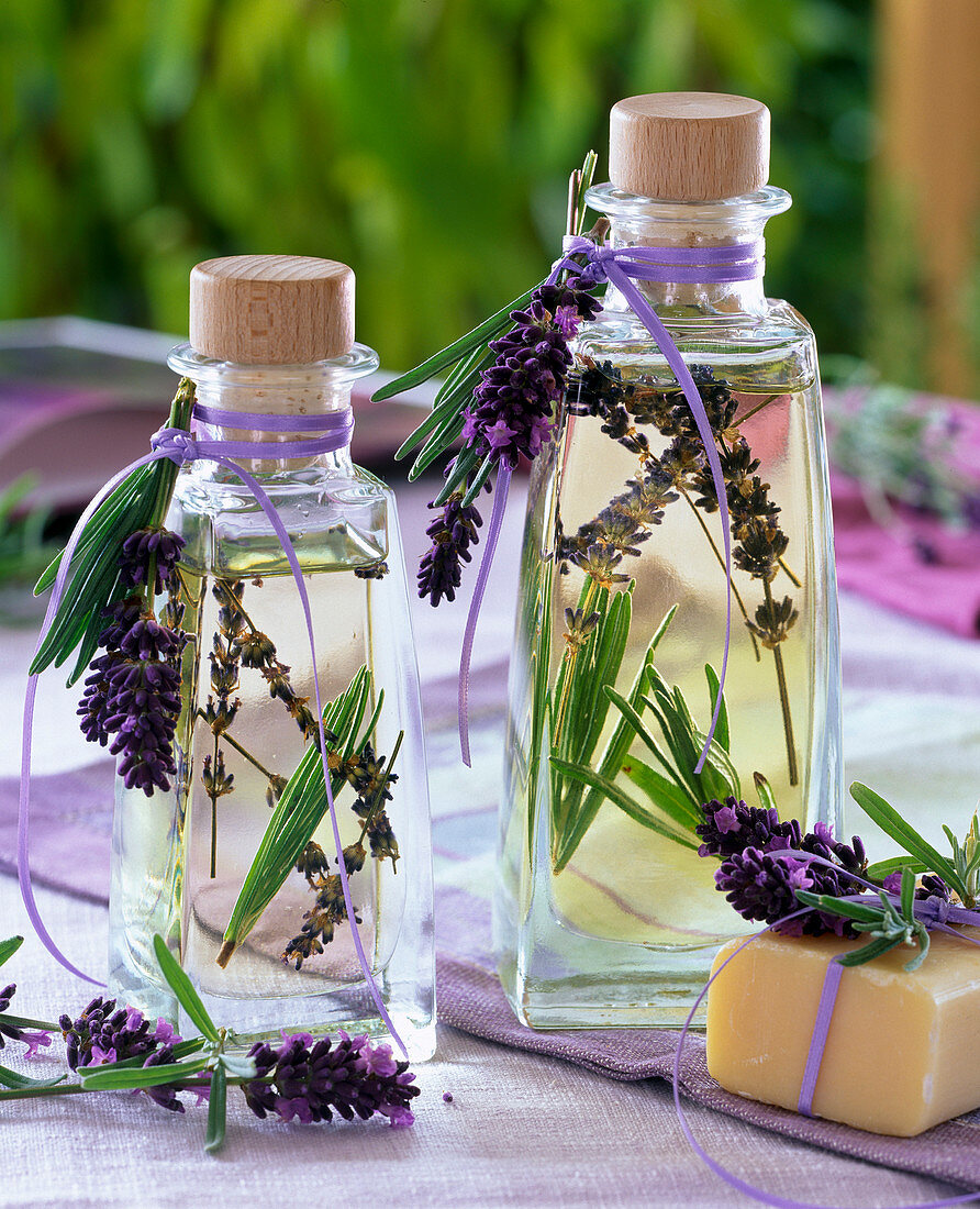 Öl für Wellness mit Lavandula (Lavendel) und Rosmarinus (Rosmarin)