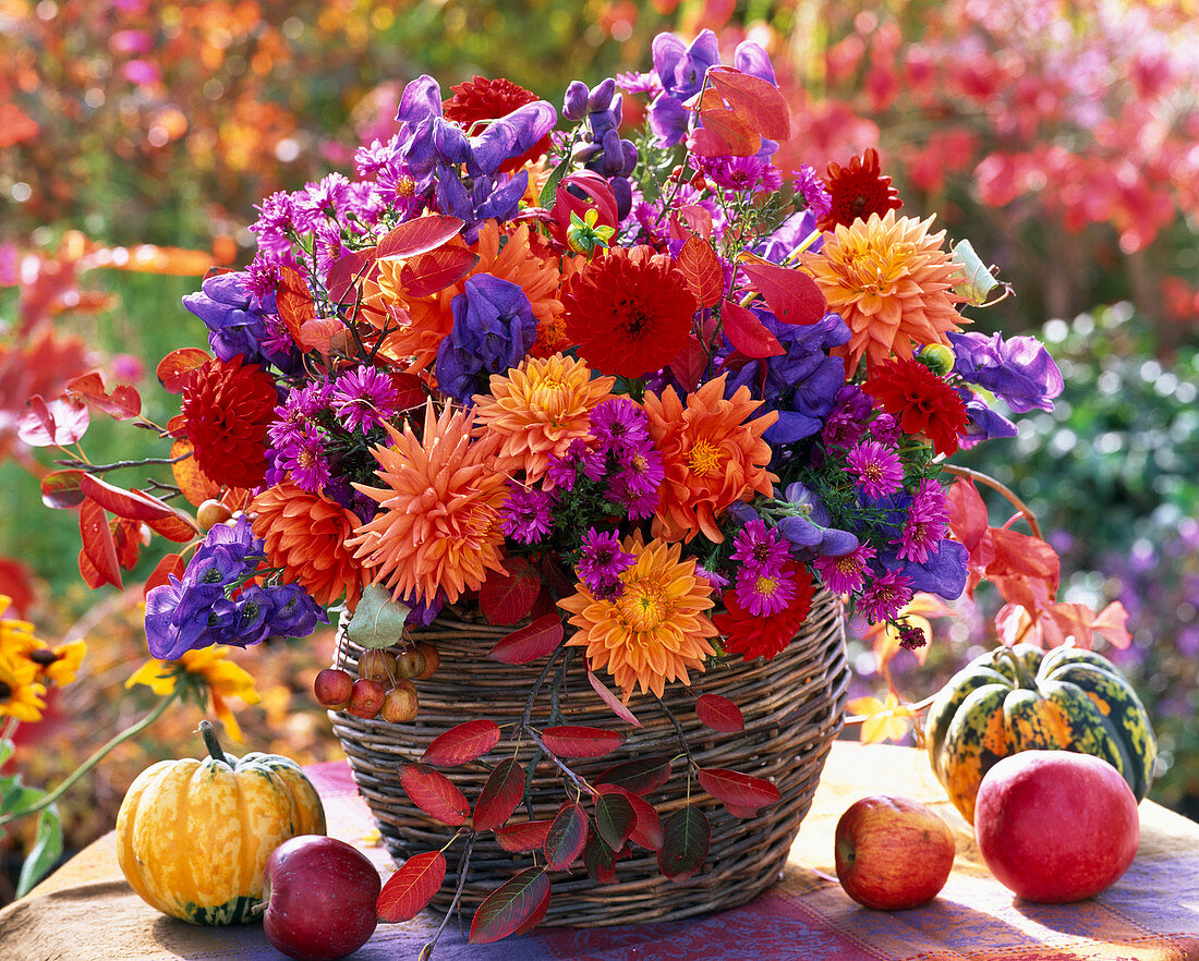 Bouquet of Dahlia, Aconitum, Aster