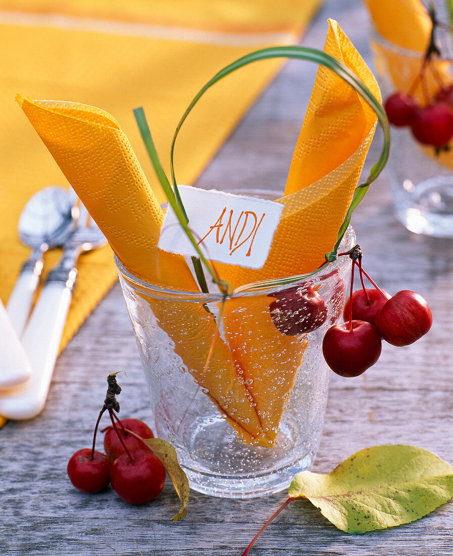 Malus (ornamental apple) and Spartina (golden bar grass) on glass