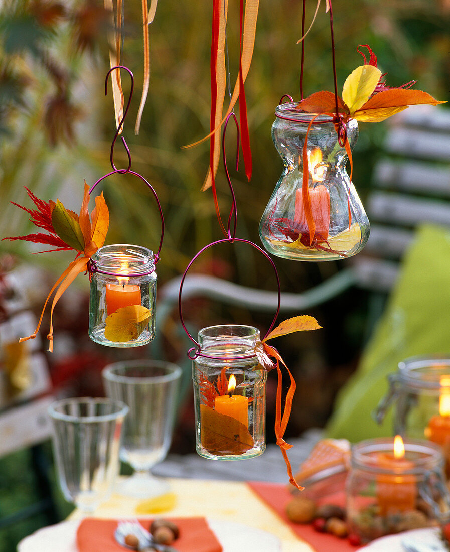 Hanging lanterns with autumn leaves of Acer (maple) and Prunus (cherry)