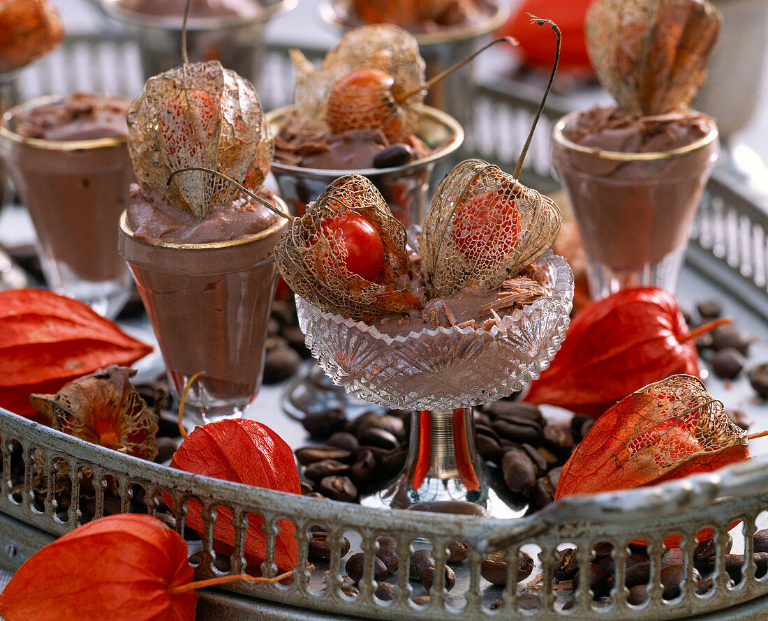 Physalis alkekengi (Lampions) in Gläsern mit Schokoladencreme auf Tablett