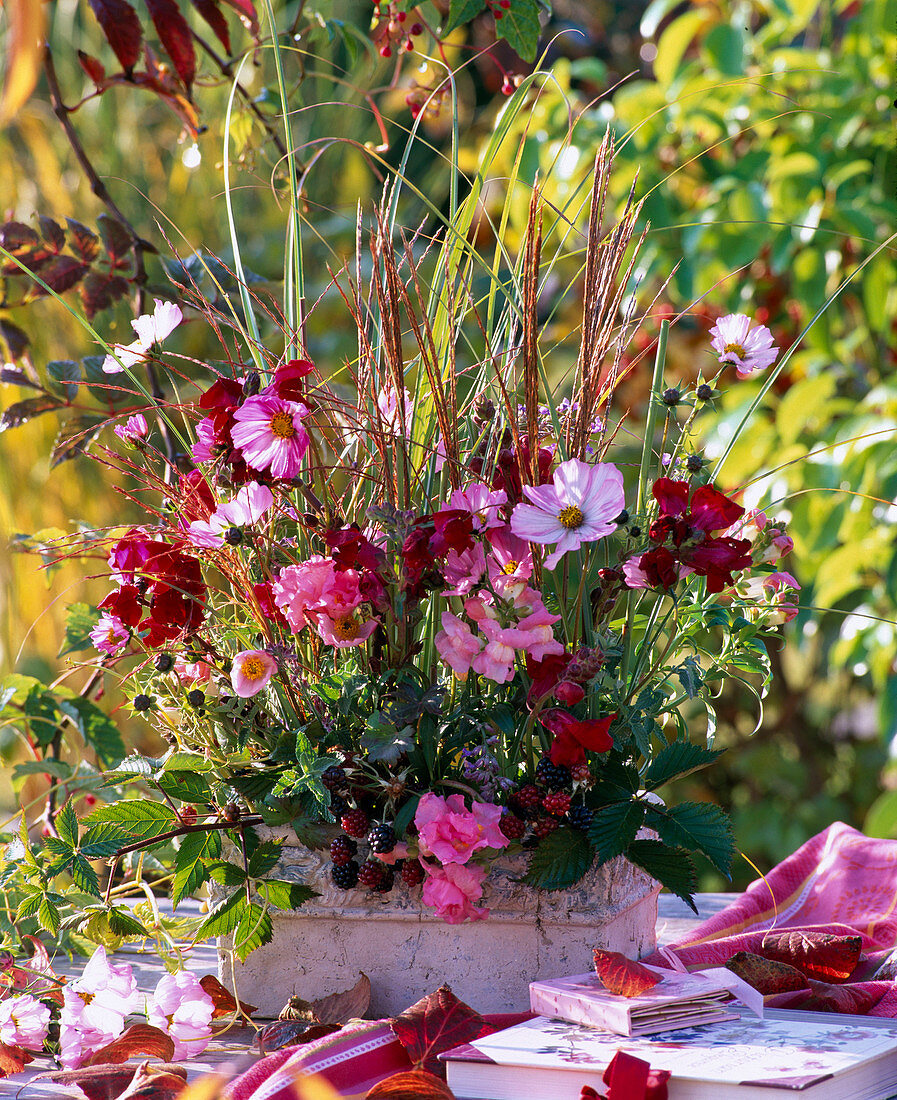 Arrangement of cosmos, miscanthus (Chinese reed), anemone
