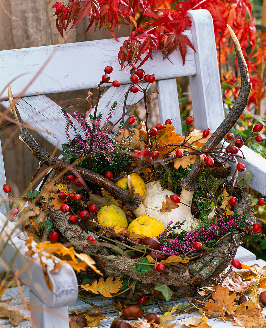 Basket made of bark with Cydonia (quince), Calluna (broom heather), rose hips