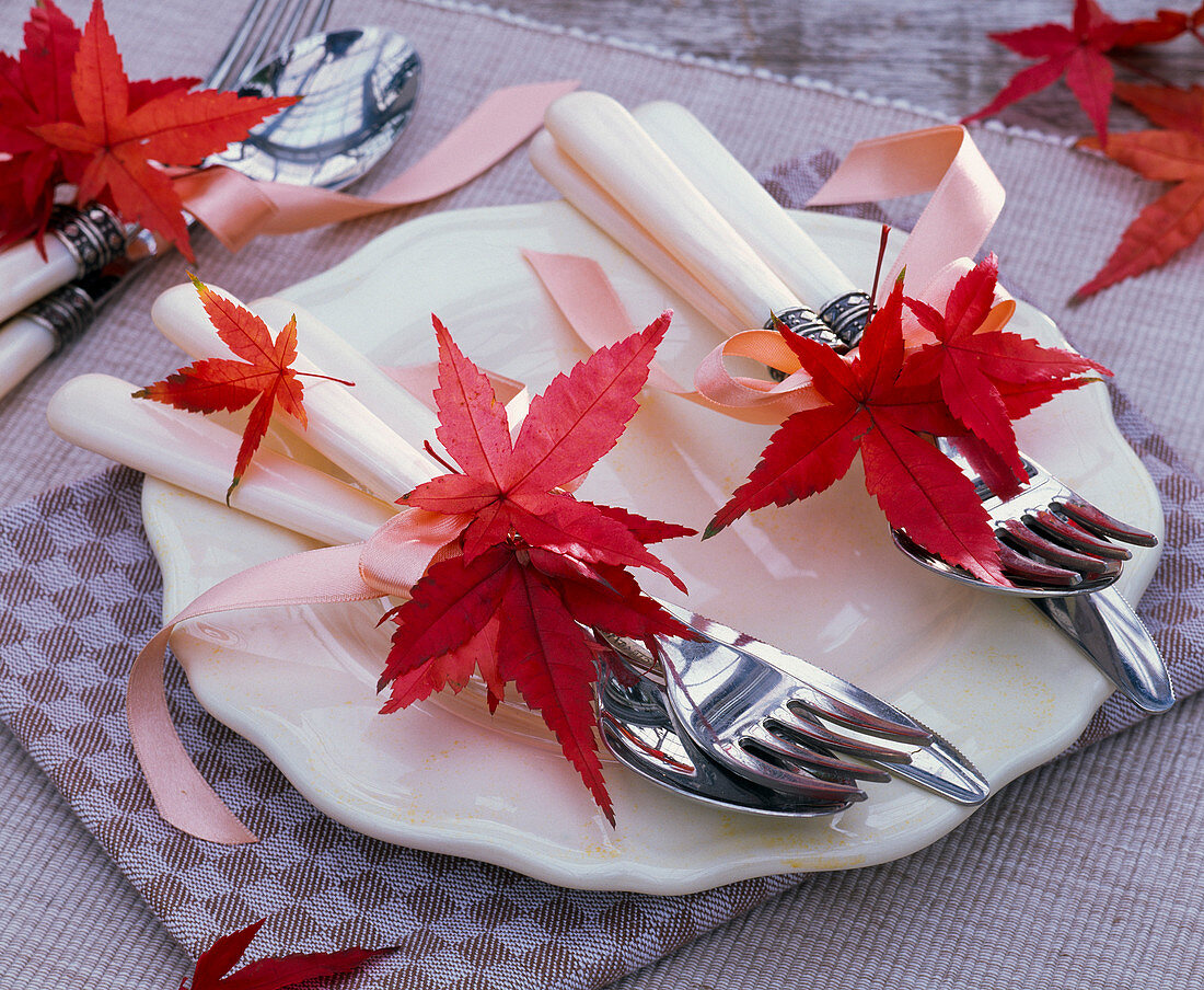 Autumn leaves of Acer (maple) tied to cutlery