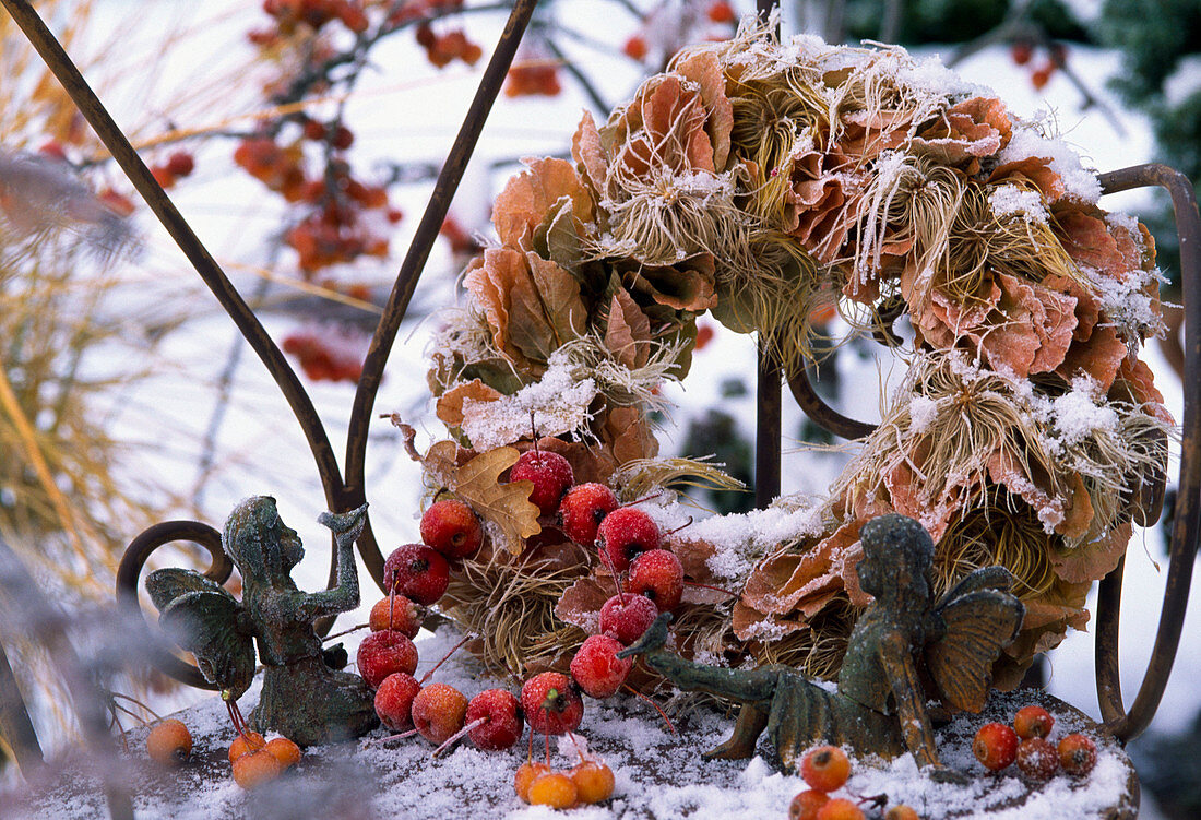 Kränze aus Parrotia (Parrotie), Clematis (Waldrebe), Malus (Zieräpfeln)