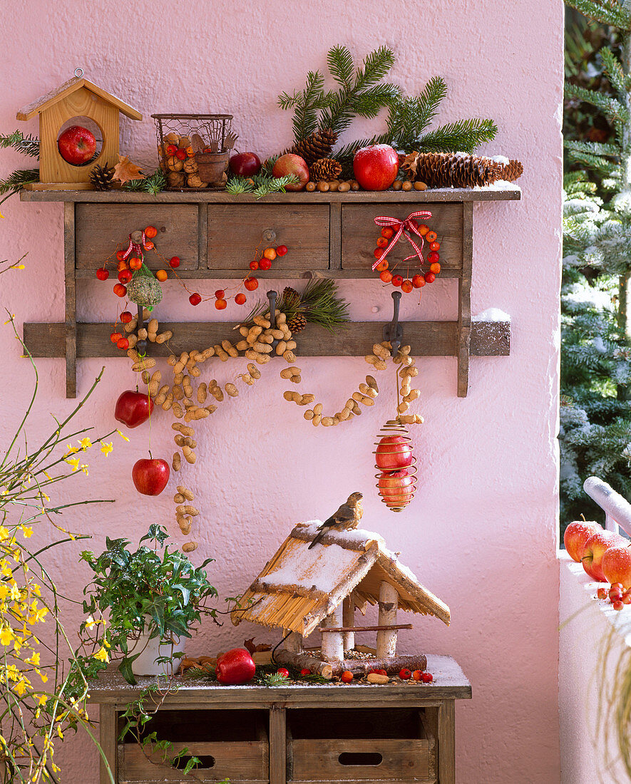 Bird feeder station on the balcony with Malus (apples and ornamental apples)