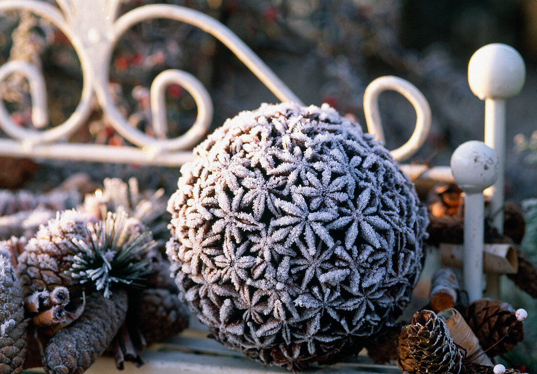 Ball with star anise covered in hoarfrost, cones