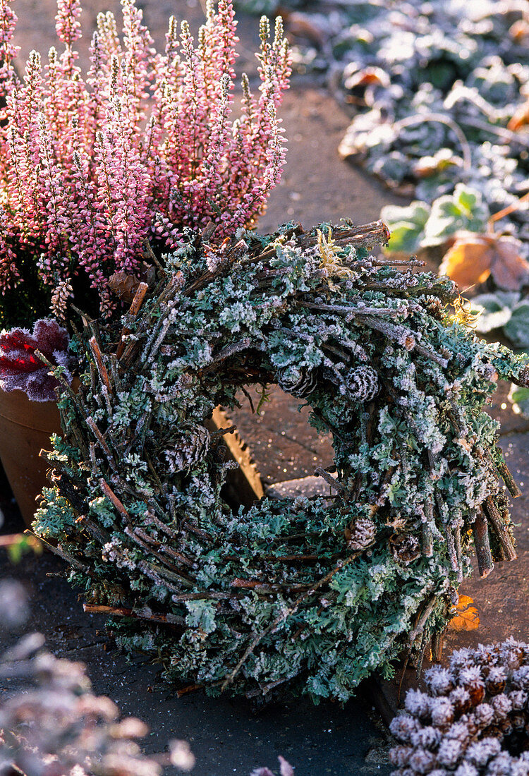 Wreath made of twigs overgrown with lichen, Calluna (broom heather)