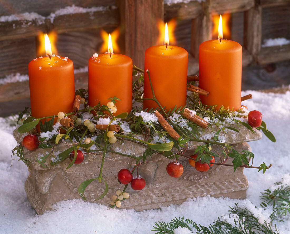 Advent arrangement with Viscum, Malus, Hedera