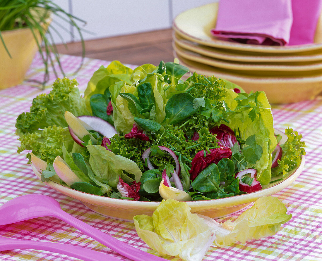 Lettuce with lettuce, lamb's lettuce, onions, chicory, radicchio, chives