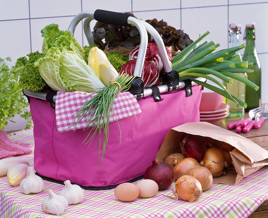 Brassica (Cabbage), Cichorium (Chicory, Radicchio), Allium (Chives)