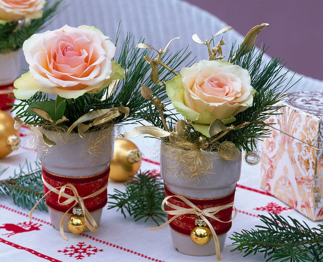 Pink 'duet' (rose), single flowers with pinus (pine)