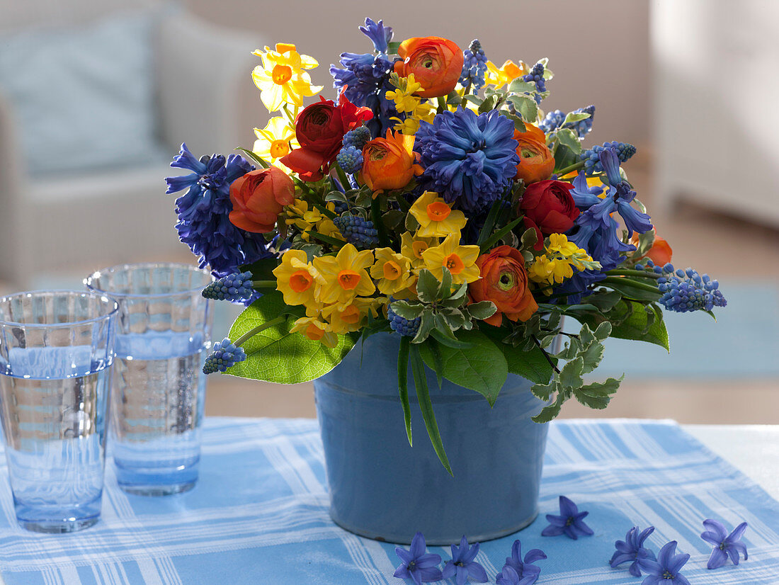 Ranunculus (Ranunkeln), Hyacinthus (Hyazinthen), Narcissus (Narzissen)