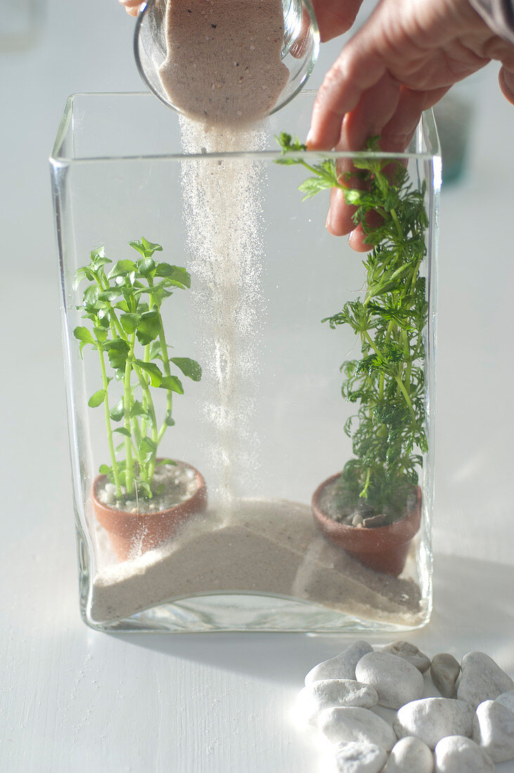 Mini aquarium as maritime decoration (3/7)