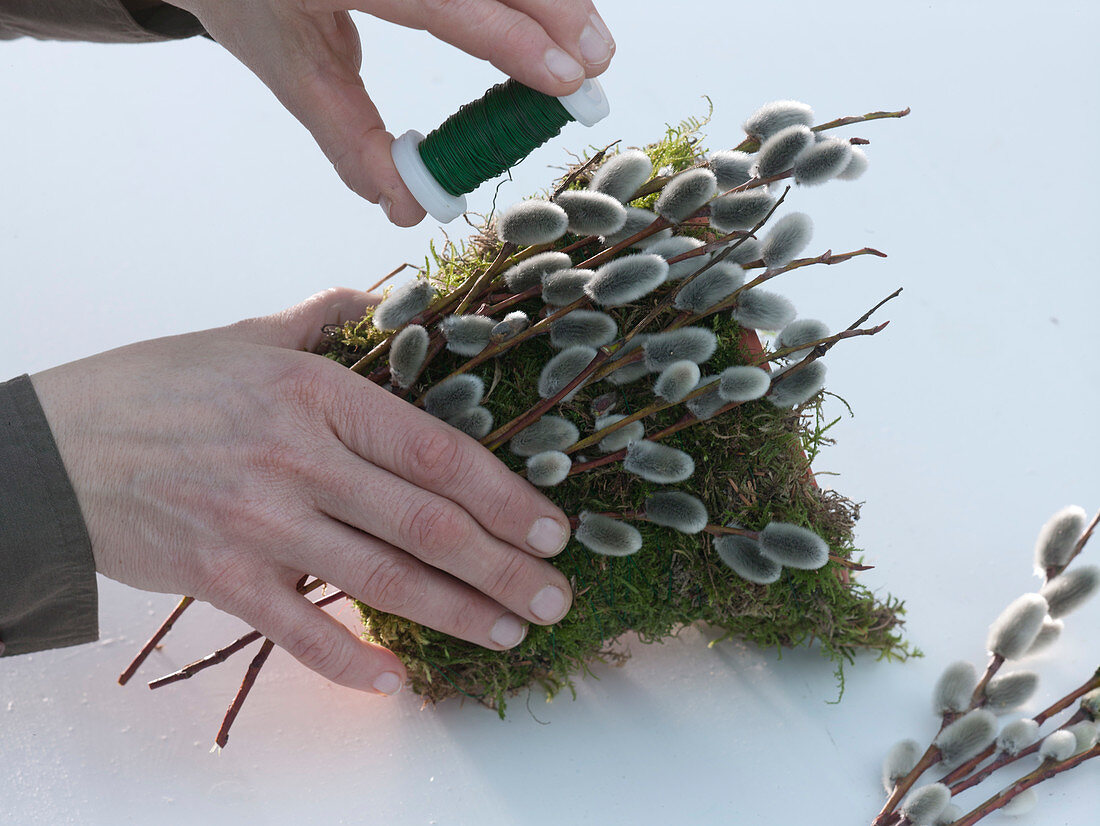 Pot with moss and catkins