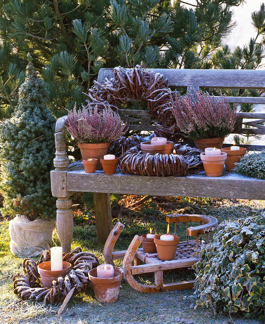 Winter arrangement with Calluna