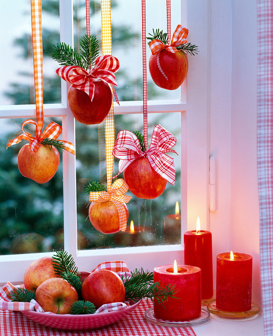 Malus hung on ribbons at the window, Abies apples and branches