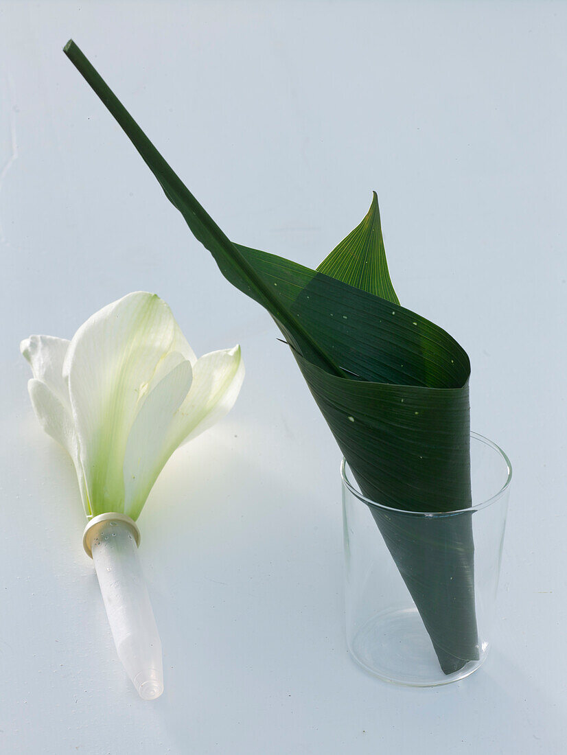 Table decoration with amaryllis and cobbler's palm (4/6)