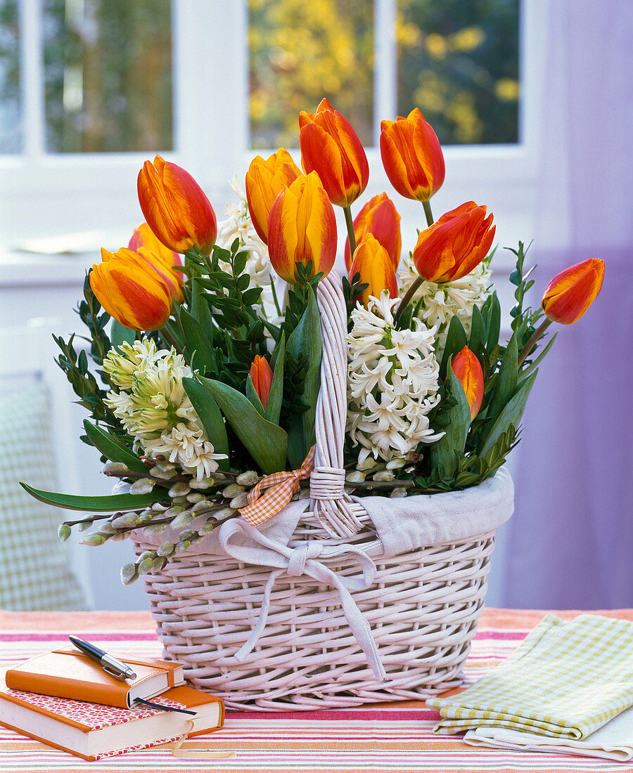 Tulipa (Tulpen), Hyacinthus (Hyazinthen) in weißem Korb mit Zweigen