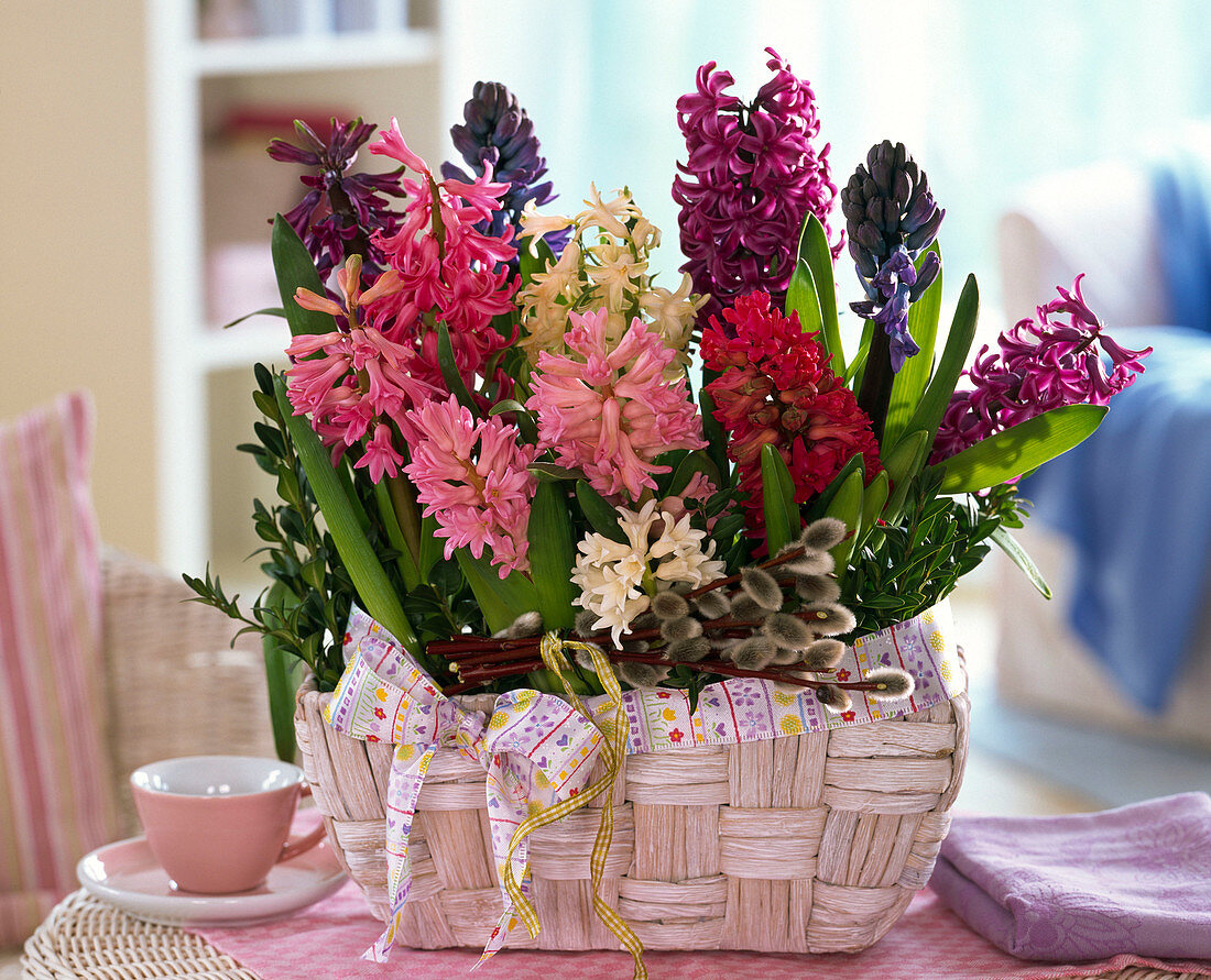 Hyacinthus (hyacinths), Salix (catkin willow) in woven basket