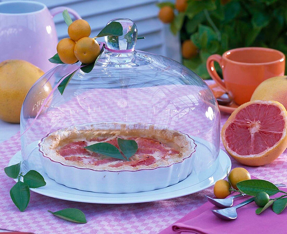 Grapefruit tart under a glass cover