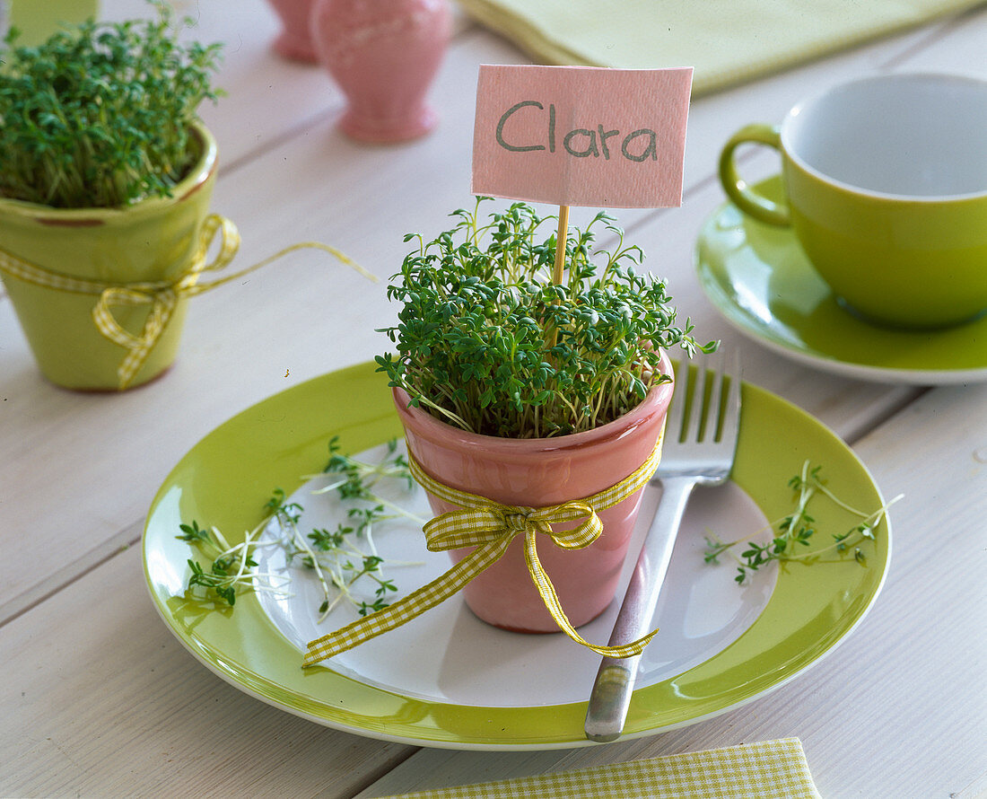 Herbal table decoration