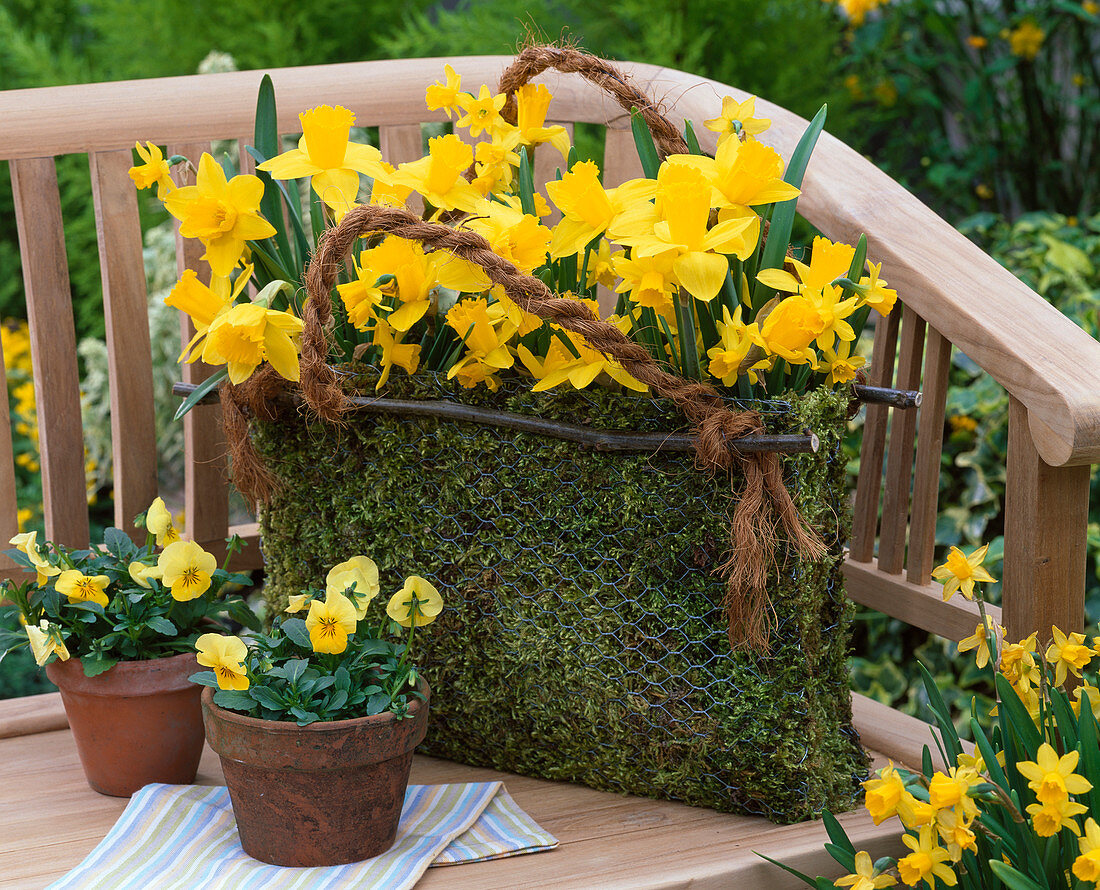 Moss bag with daffodils