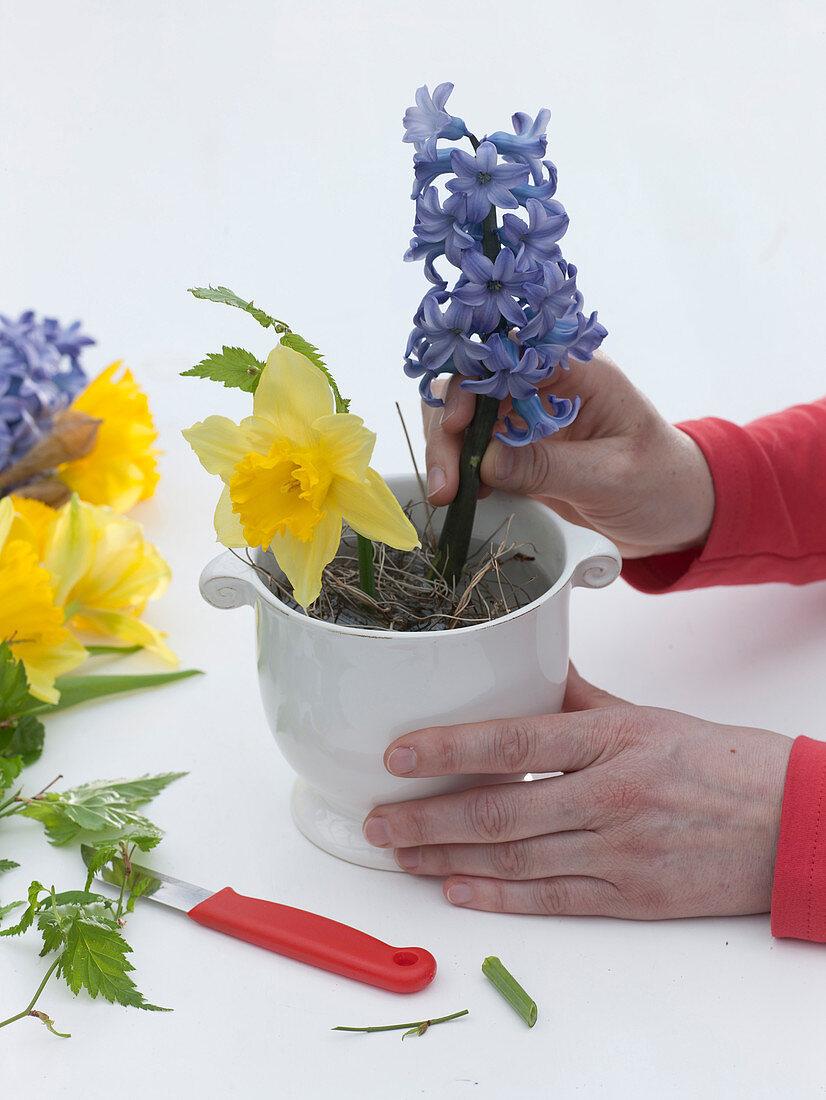 Planting a blue-yellow spring bouquet (3/4)