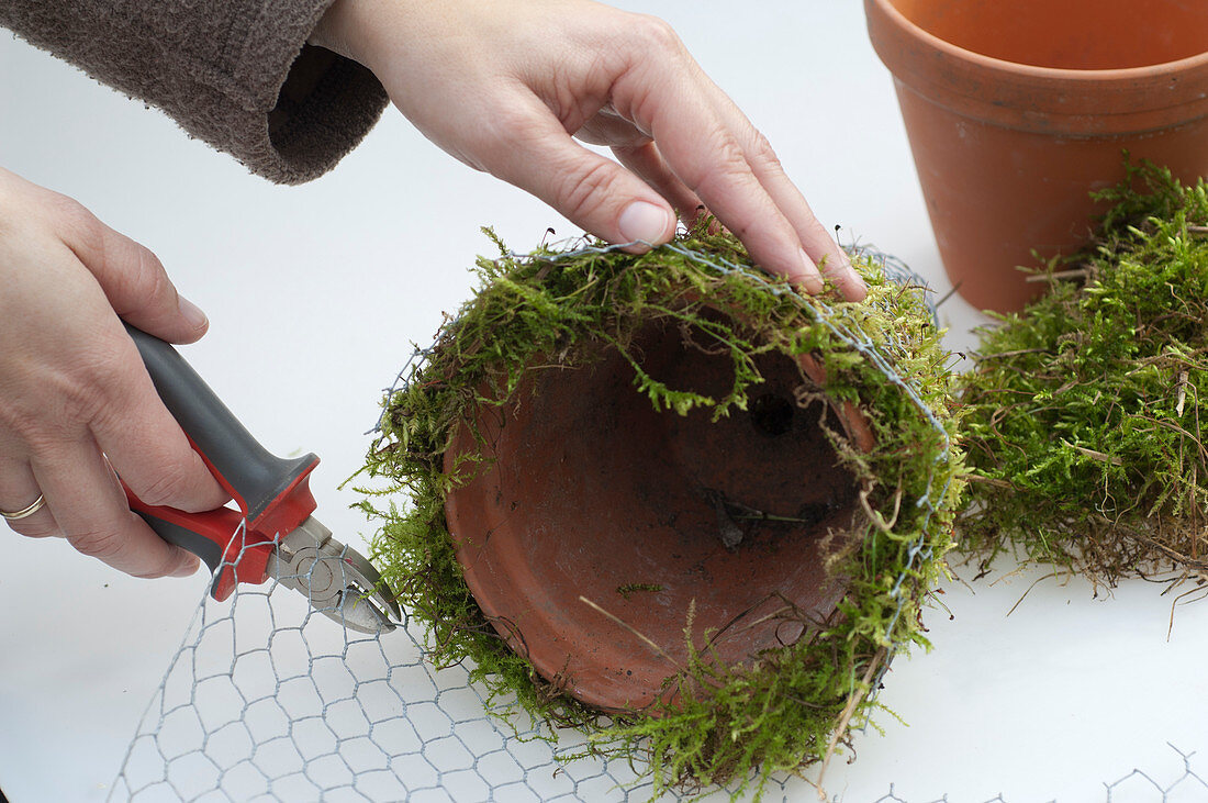 Moss pots